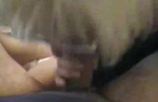 XXX Dog % 27, առաջին անգամ, slavegirl, այդ թվում մեծ պոռնո