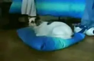 XXX սեր սեքս վեդիո լոգարանում մաս երկրորդ